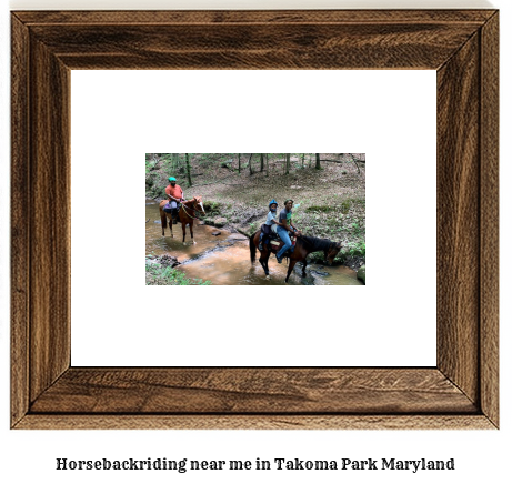 horseback riding near me in Takoma Park, Maryland